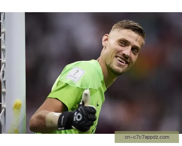 德转英超零封王费迪南德维迪奇